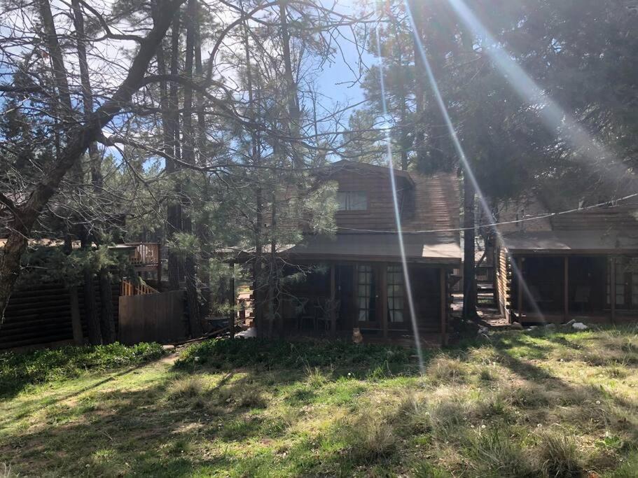פייסון Forest Cabin 4 Cowboys Dream מראה חיצוני תמונה
